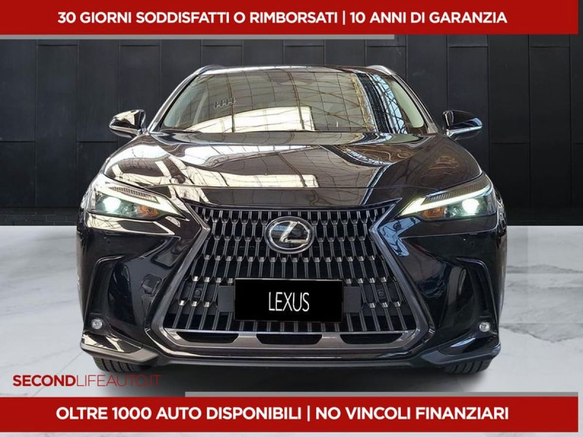 image desc