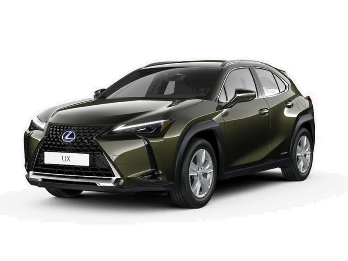 image desc