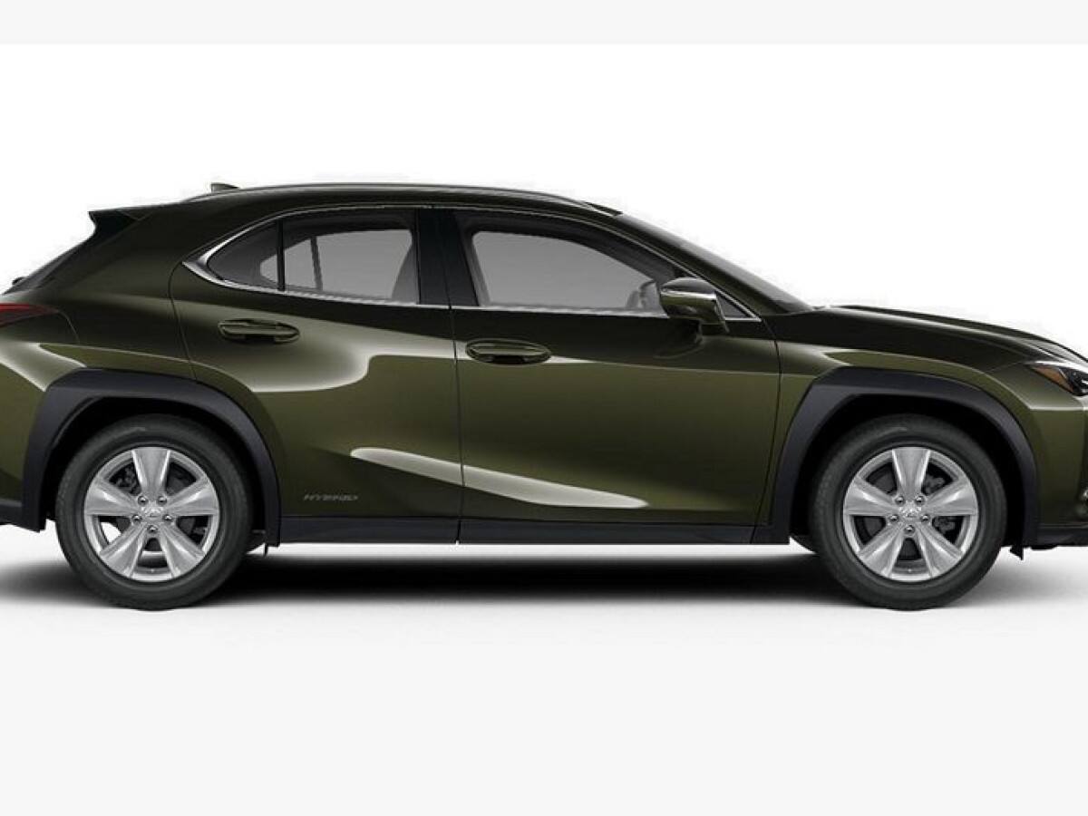 image desc