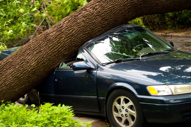 Assicurazione eventi atmosferici