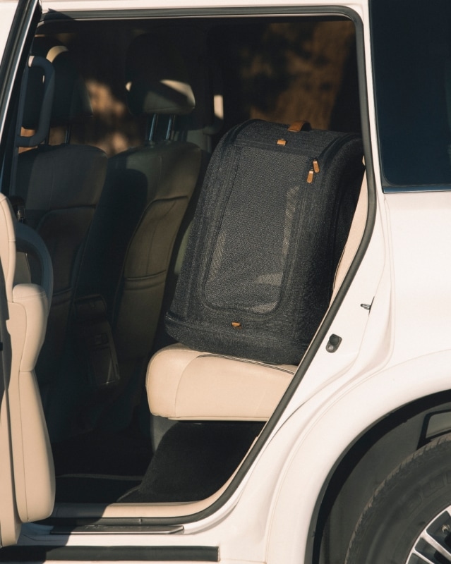 Sicurezza dei pet: il grande non detto dei viaggi con gli animali