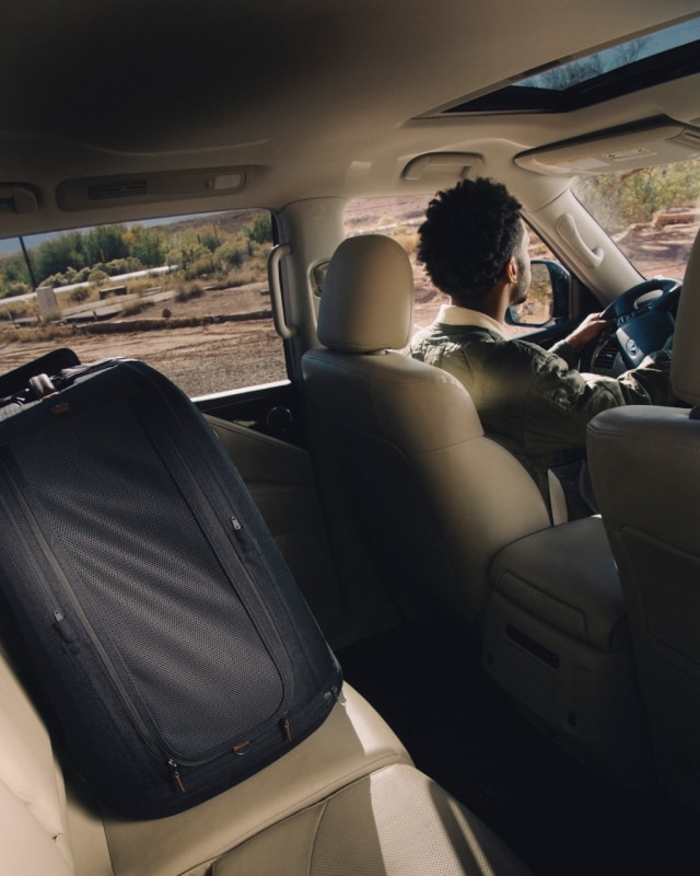 Sicurezza dei pet: il grande non detto dei viaggi con gli animali