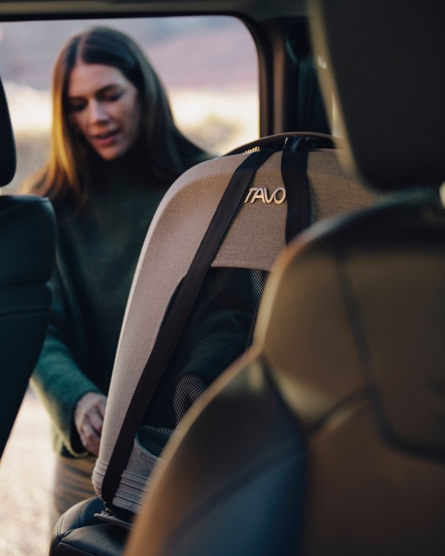 Sicurezza dei pet: il grande non detto dei viaggi con gli animali