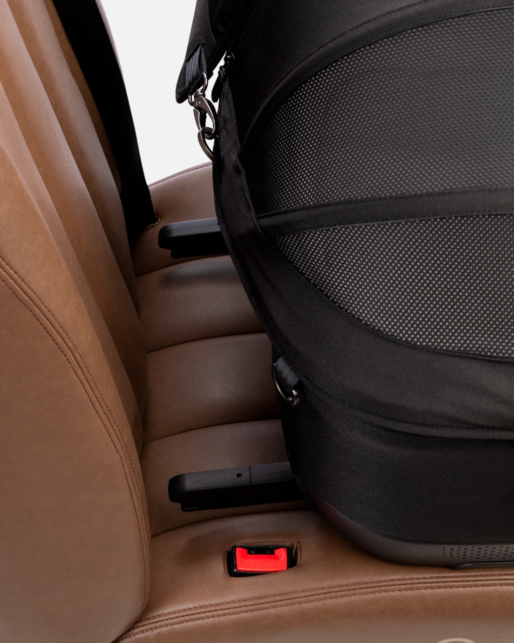 Sicurezza dei pet: il grande non detto dei viaggi con gli animali