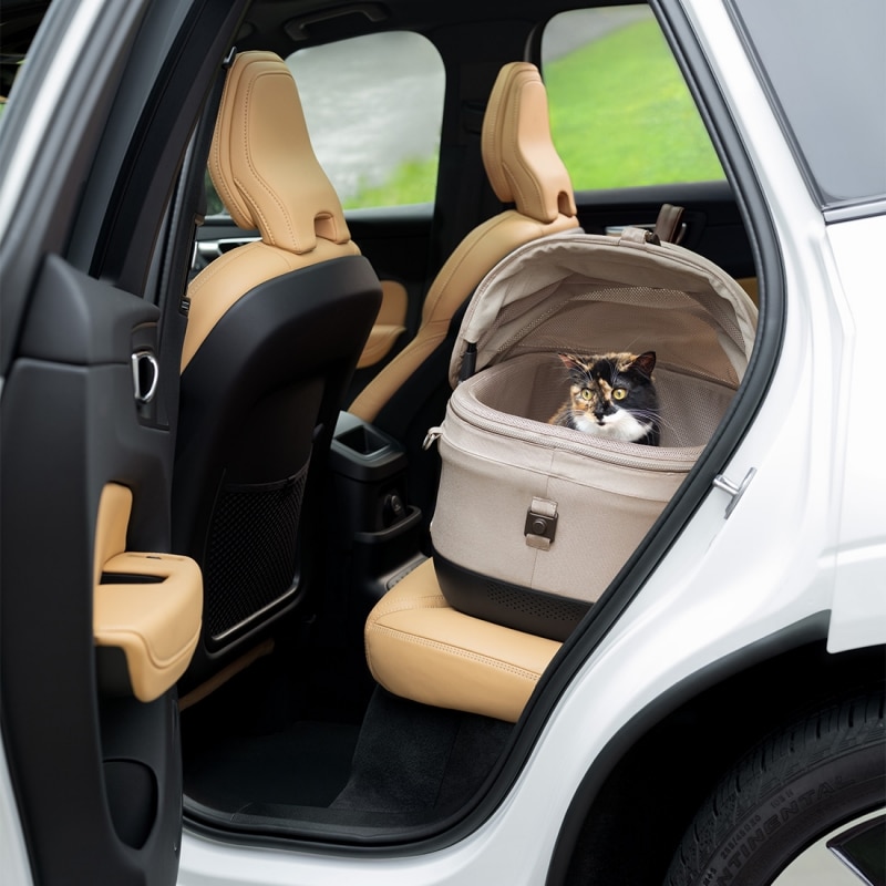 Sicurezza dei pet: il grande non detto dei viaggi con gli animali