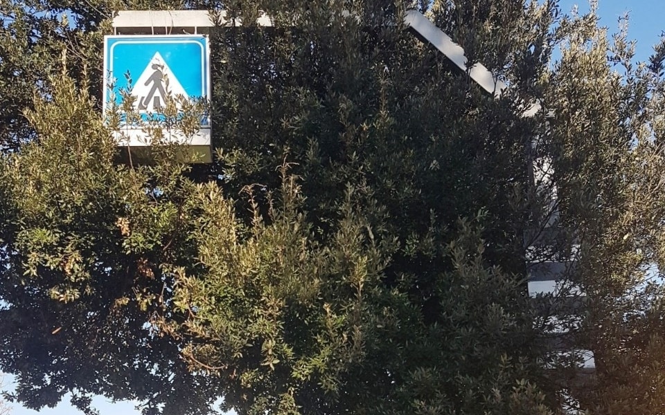 Segnaletica disastrosa: troppi rischi sulle strisce