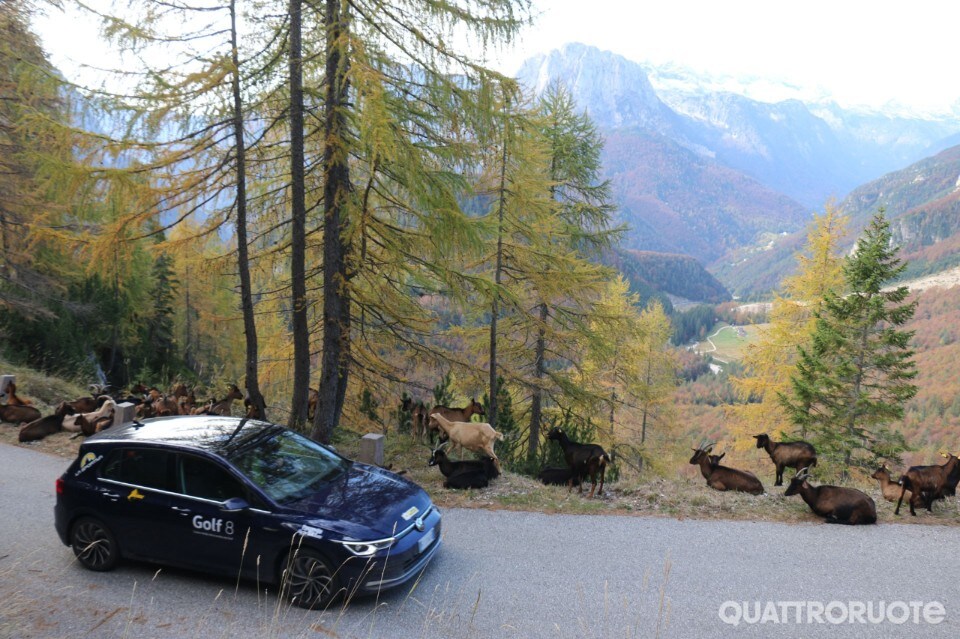 2021-itinerari-slovenia-golf-8-006 2021-itinerari-slovenia-golf-8-006
