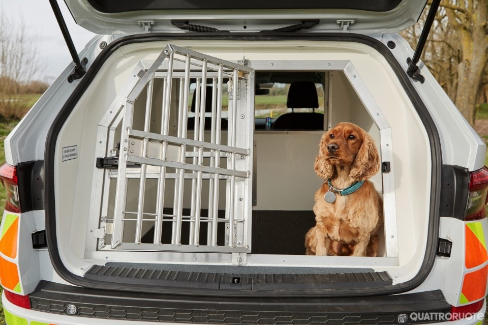 Svelato un allestimento speciale per l'unità cinofila