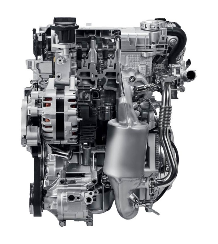 La bellezza intelligente