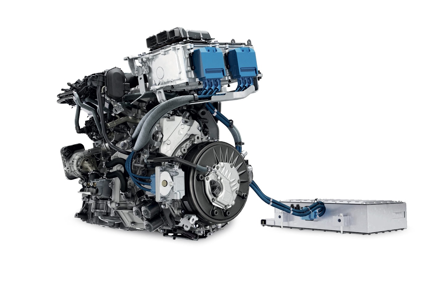 In principio fu la Austral